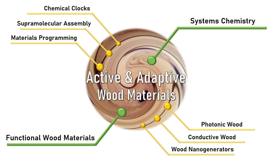 Active and Adaptive Wood Materials