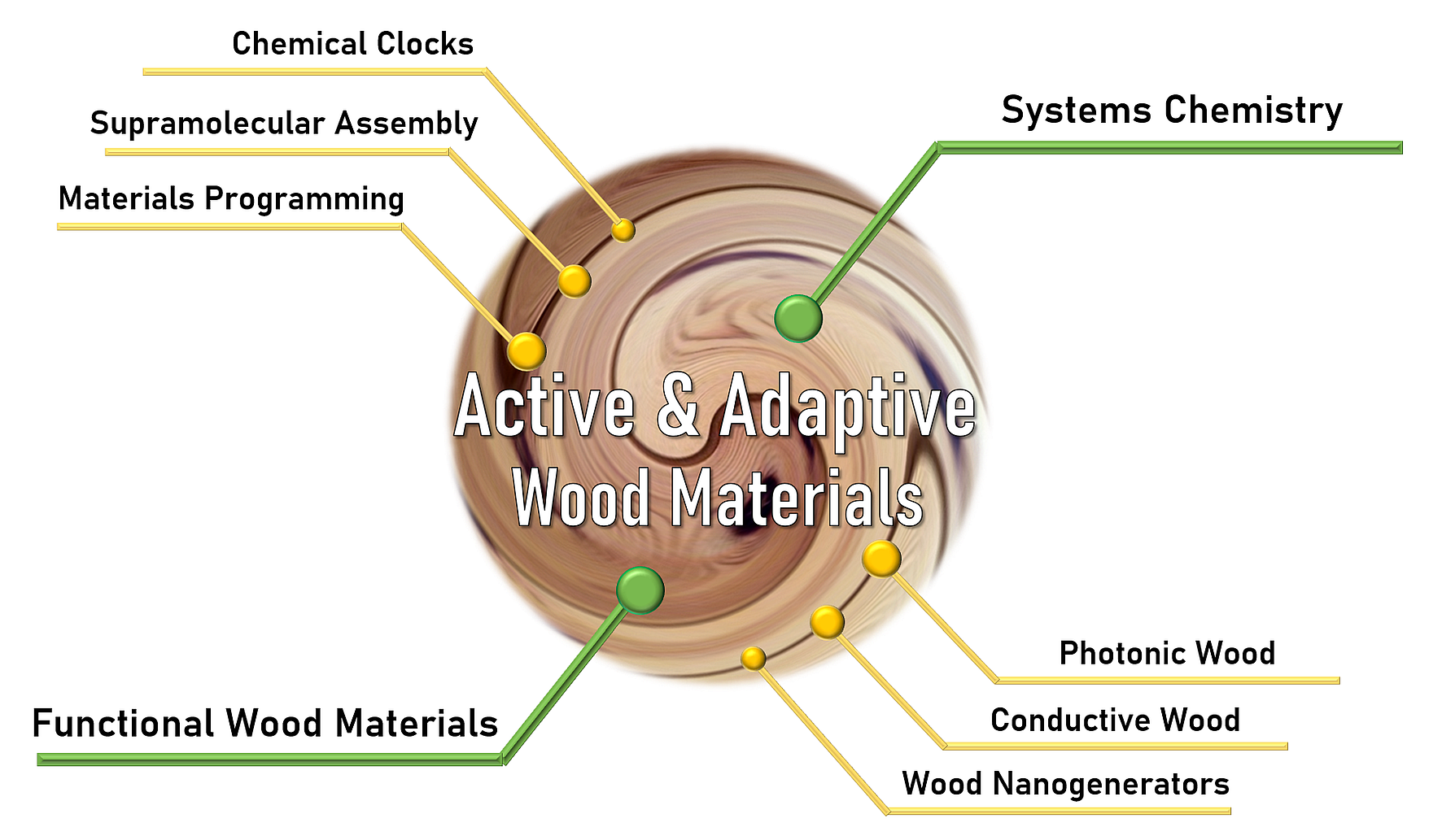 Enlarged view: Active and Adapive Wood Materials